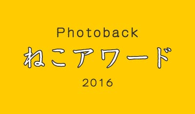 Photoback Award