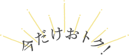 今だけおトク!